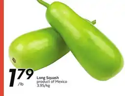 Sobeys Long Squash offer