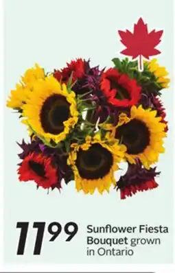 Sobeys Sunflower Fiesta Bouquet offer