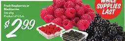 Longo's Fresh Raspberries or Blackberries offer