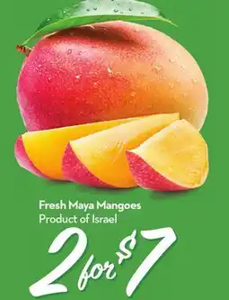 Longo's Fresh Maya Mangoes offer