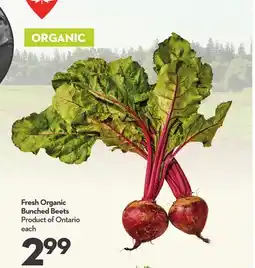 Longo's Fresh Organic Bunched Beets offer