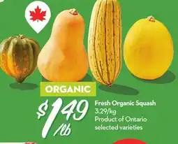 Longo's Fresh Organic Squash offer