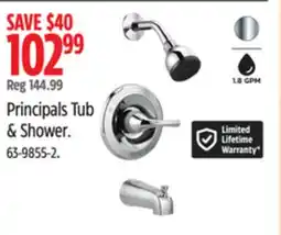 Canadian Tire Delta Principals tub & Shower offer