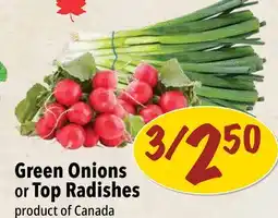 Farm Boy Green Onions or Top Radishes offer