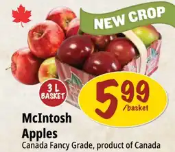 Farm Boy McIntosh Apples offer