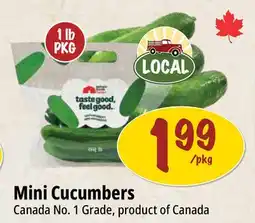 Farm Boy Mini Cucumbers offer