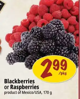 Farm Boy Blackberries or Raspberries offer