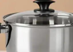 Walmart Starfrit multipan or stainless steel pot With lid offer
