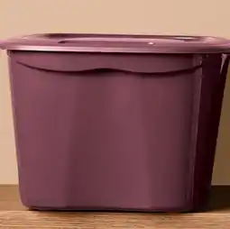 Walmart Accent Home 63 L storage tote offer