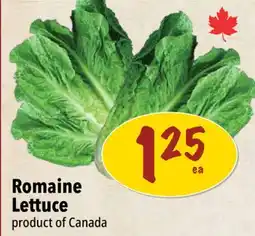 Farm Boy Romaine Lettuce offer