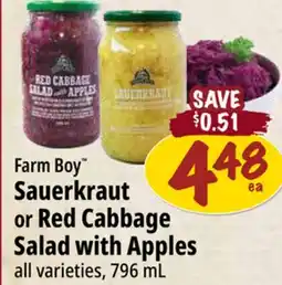 Farm Boy Farm Boy Sauerkraut or Red Cabbage Salad with Apples offer