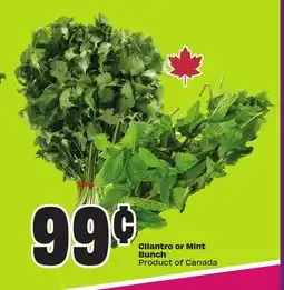 FreshCo Cilantro or Mint Bunch Product of Canada offer