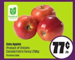 Chalo FreshCo Gala Apples Product of Ontario Canada Extra Fancy 1.70/kg offer