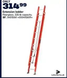 RONA Extension ladder offer