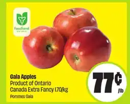 FreshCo Gala Apples Product of Ontario Canada Extra Fancy 1.70/kg offer
