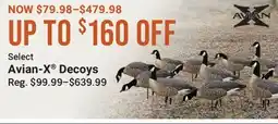 Cabela's Select Avian-X Decoys offer