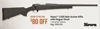 Cabela's Howa 1500 Bolt-Action Rifle with Hogue Stock offer
