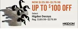 Cabela's Select Higdon Decoys offer