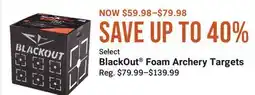 Cabela's Select BlackOut Foam Archery Targets offer