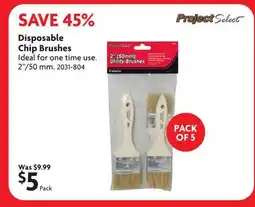 Home Hardware Disposable Chip Brushes offer