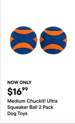 Petvalu Medium Chuckit! Ultra Squeaker Ball 2 Pack Dog Toys offer
