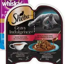 Petvalu Sheba Wet Cat Food offer