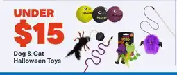 Petvalu Dog & Cat Halloween Toys offer