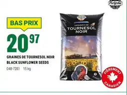 BMR GRAINES DE TOURNESOL NOIR offer