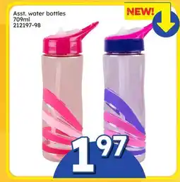 Rossy Asst. water bottles offer