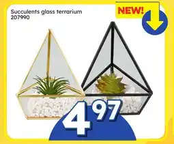 Rossy Succulents glass terrarium offer