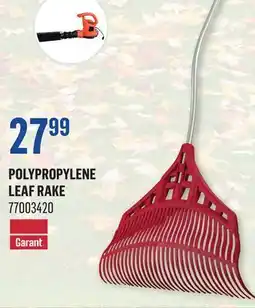 Canac Polypropylene Leaf Rake offer