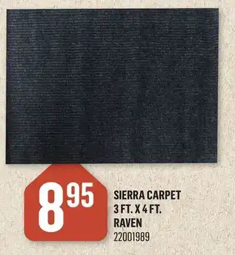 Canac SIERRA CARPET 3 FT. X 4 FT. RAVEN offer