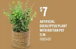 Canac Artificial Eucalyptus Plant with Rattan Pot offer