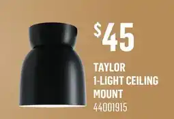 Canac TAYLOR 1-LIGHT CEILING MOUNT offer