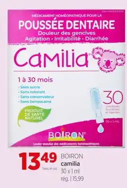 Avril Camilia offer