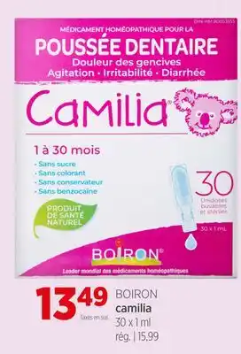 Avril Camilia offer
