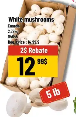 Mayrand White mushrooms offer