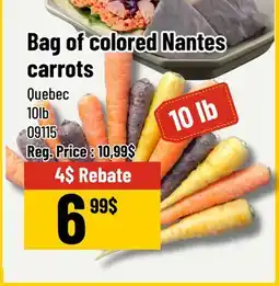 Mayrand Bag of Colored Nantes carrots offer