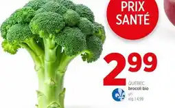Avril Brocoli bio offer