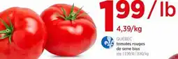 Avril Tomates rouges deserre bios offer