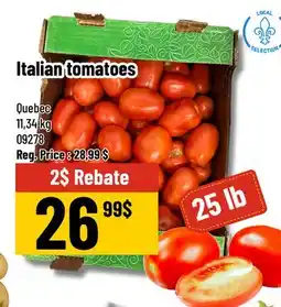 Mayrand Italian tomatoes offer