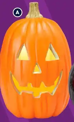 RONA 16 decorative pumpkins offer