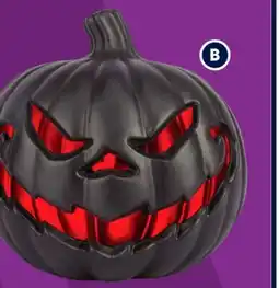 RONA 9 Decorative Pumpkins offer