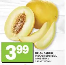 L'Intermarché MELON CANARI | CANARY MELON, GROSSEUR 6 offer