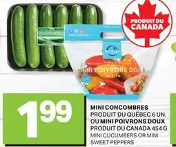 L'Intermarché MINI CONCOMBRES, MINI POIVRONS DOUX, 454 G offer