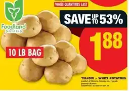 No Frills Yellow or White Potatoes offer