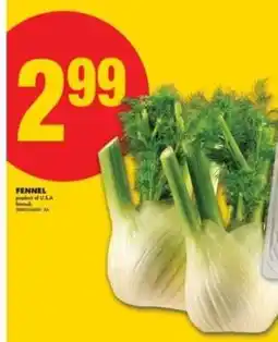No Frills FENNEL offer