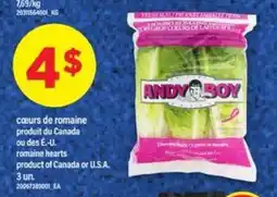 Maxi ANDY BOY offer