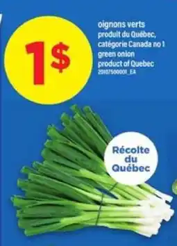 Maxi Green Onion offer