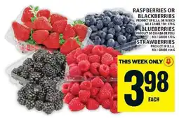 Food Basics Raspberries or Blackberries, Blueberries, Strawberries offer